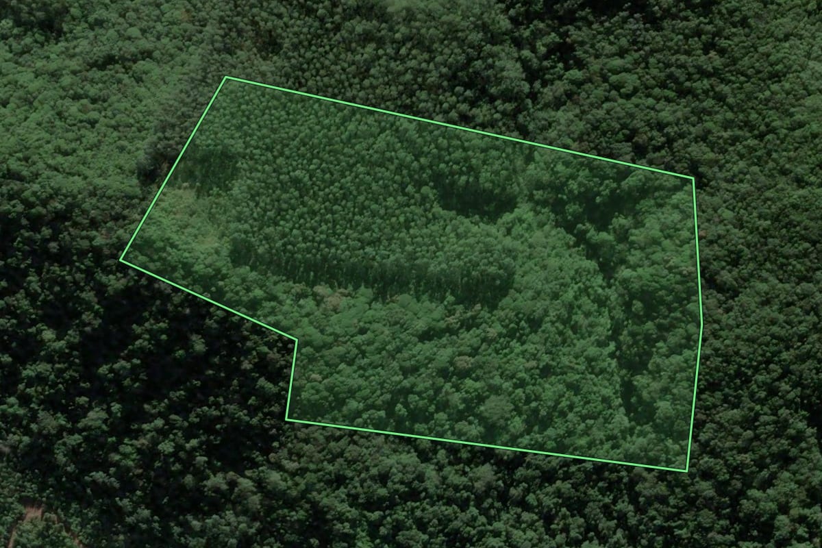 Imagem de satélite do imóvel rural em Antônio Carlos (SC), com o contorno declarado no CAR desenhado por cima.