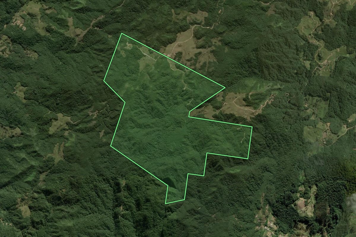 Imagem de satélite do imóvel rural em Antônio Carlos (SC), com o contorno declarado no CAR desenhado por cima.