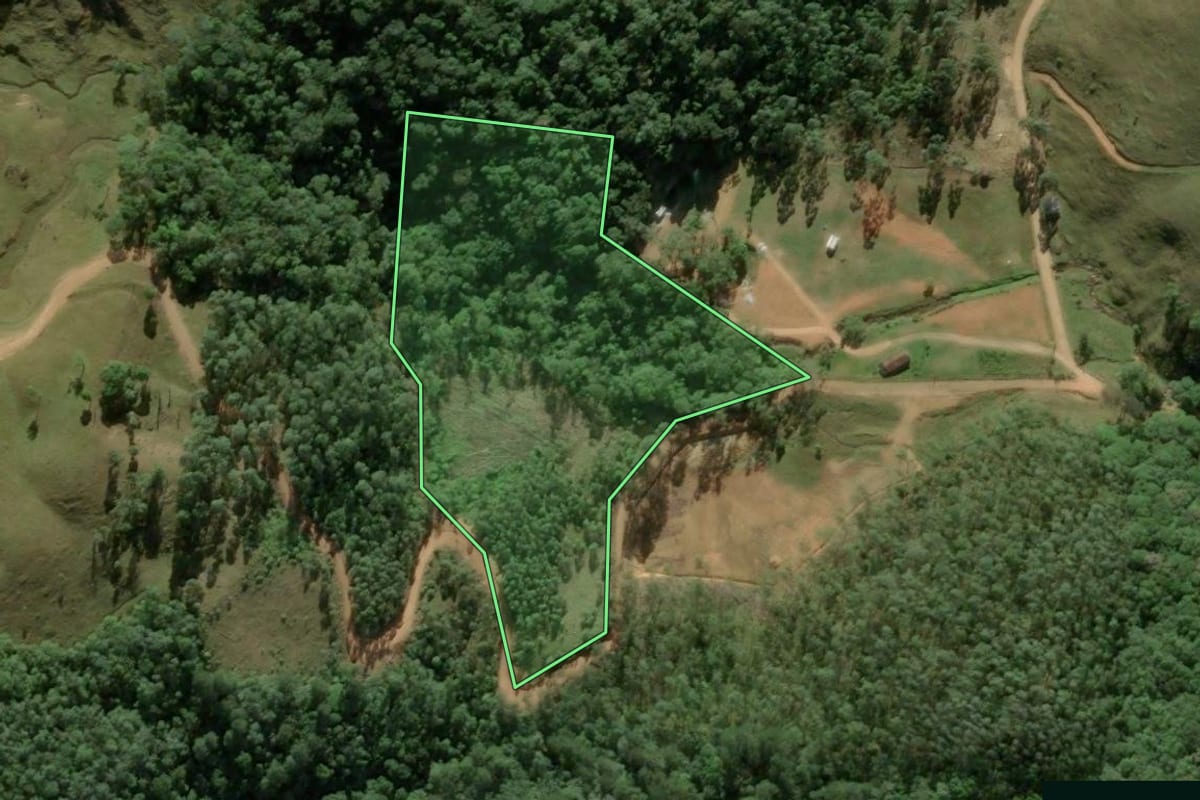 Imagem de satélite do imóvel rural em Antônio Carlos (SC), com o contorno declarado no CAR desenhado por cima.