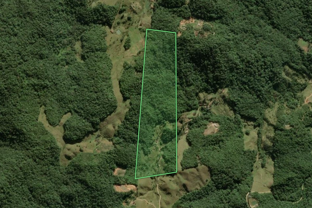Imagem de satélite do imóvel rural em Antônio Carlos (SC), com o contorno declarado no CAR desenhado por cima.