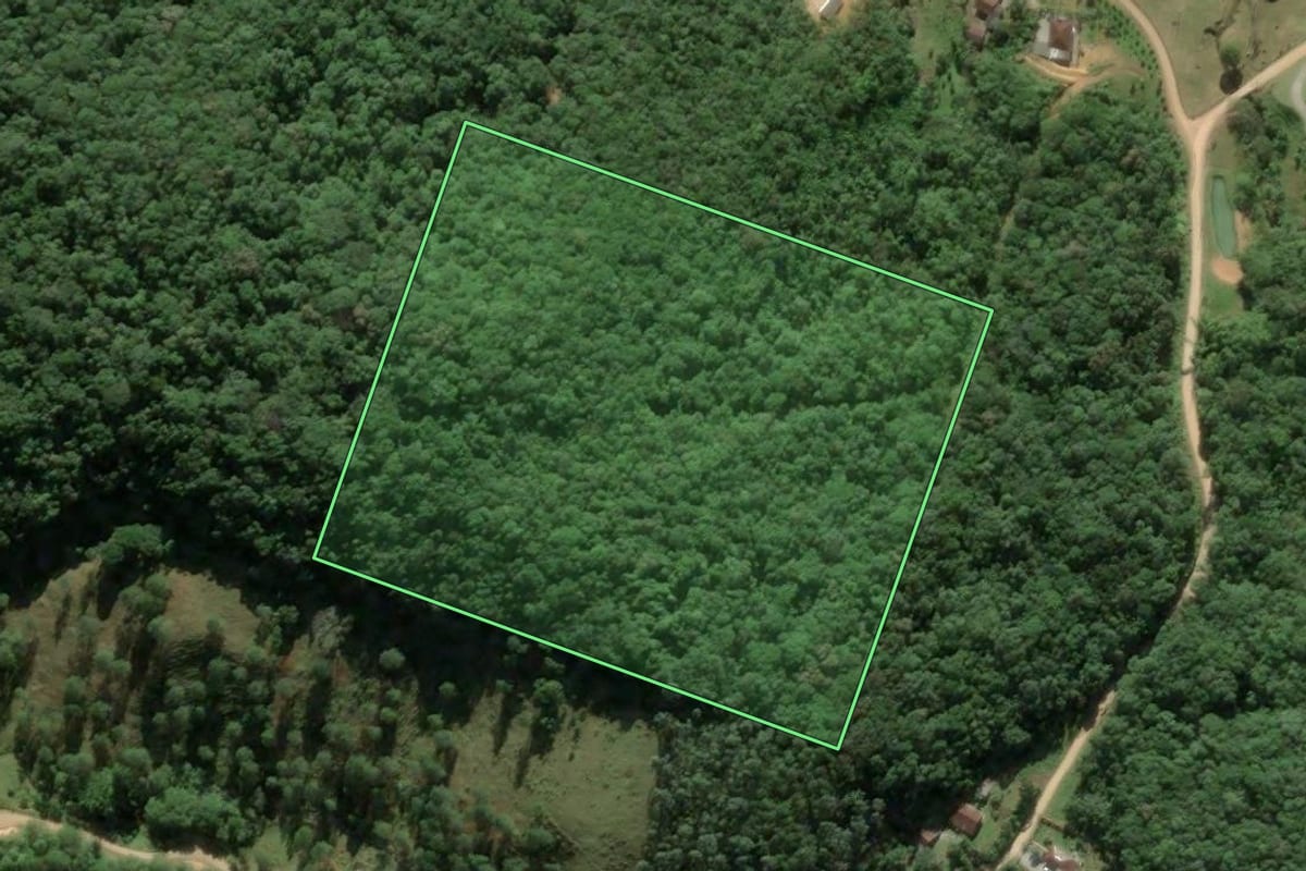 Imagem de satélite do imóvel rural em Antônio Carlos (SC), com o contorno declarado no CAR desenhado por cima.