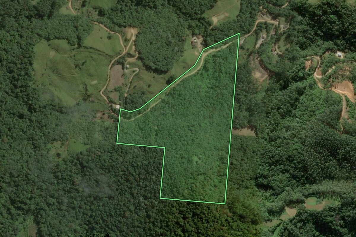 Imagem de satélite do imóvel rural em Antônio Carlos (SC), com o contorno declarado no CAR desenhado por cima.