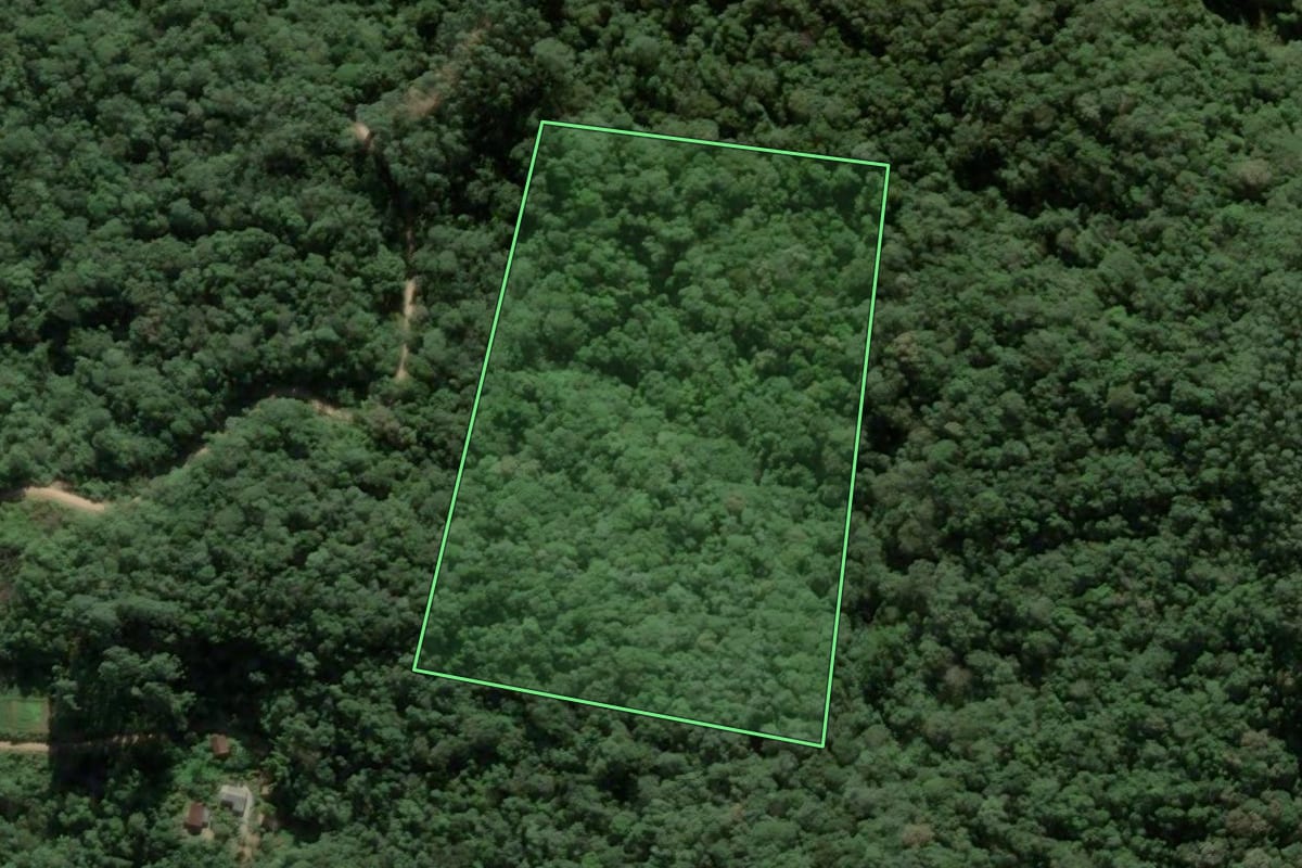 Imagem de satélite do imóvel rural em Antônio Carlos (SC), com o contorno declarado no CAR desenhado por cima.