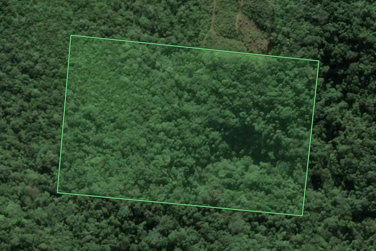 Imagem de satélite do imóvel rural em Antônio Carlos (SC), com o contorno declarado no CAR desenhado por cima.