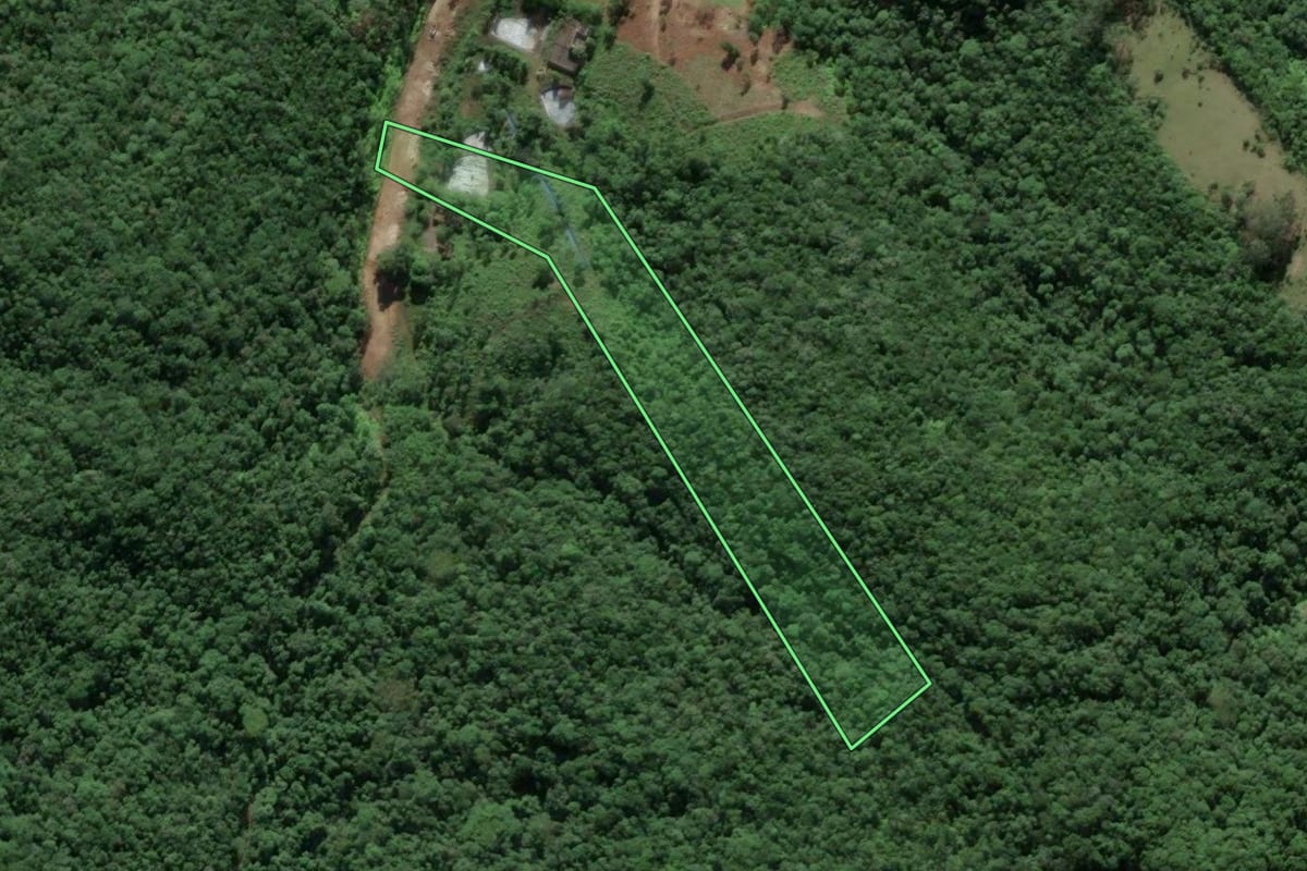 Imagem de satélite do imóvel rural em Antônio Carlos (SC), com o contorno declarado no CAR desenhado por cima.