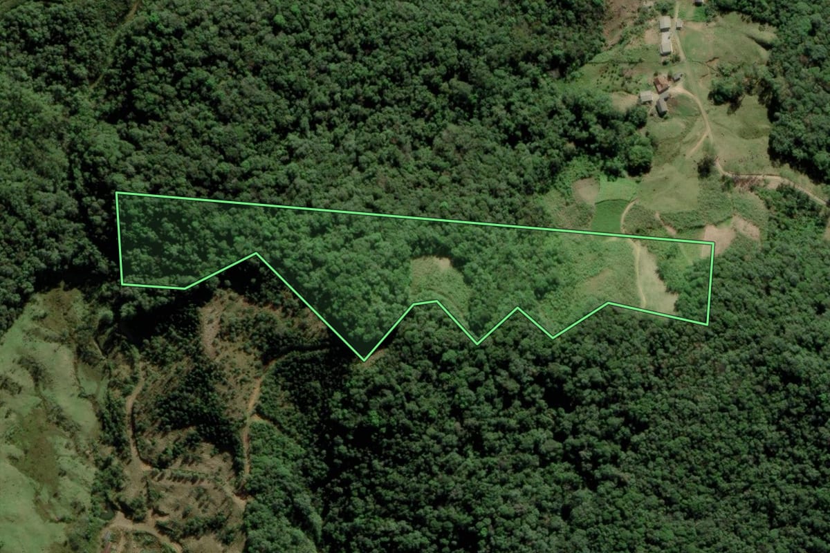 Imagem de satélite do imóvel rural em Antônio Carlos (SC), com o contorno declarado no CAR desenhado por cima.