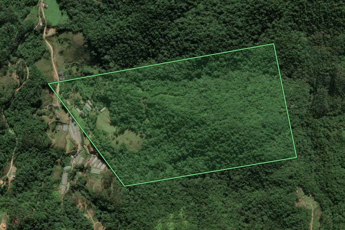 Imagem de satélite do imóvel rural em Antônio Carlos (SC), com o contorno declarado no CAR desenhado por cima.
