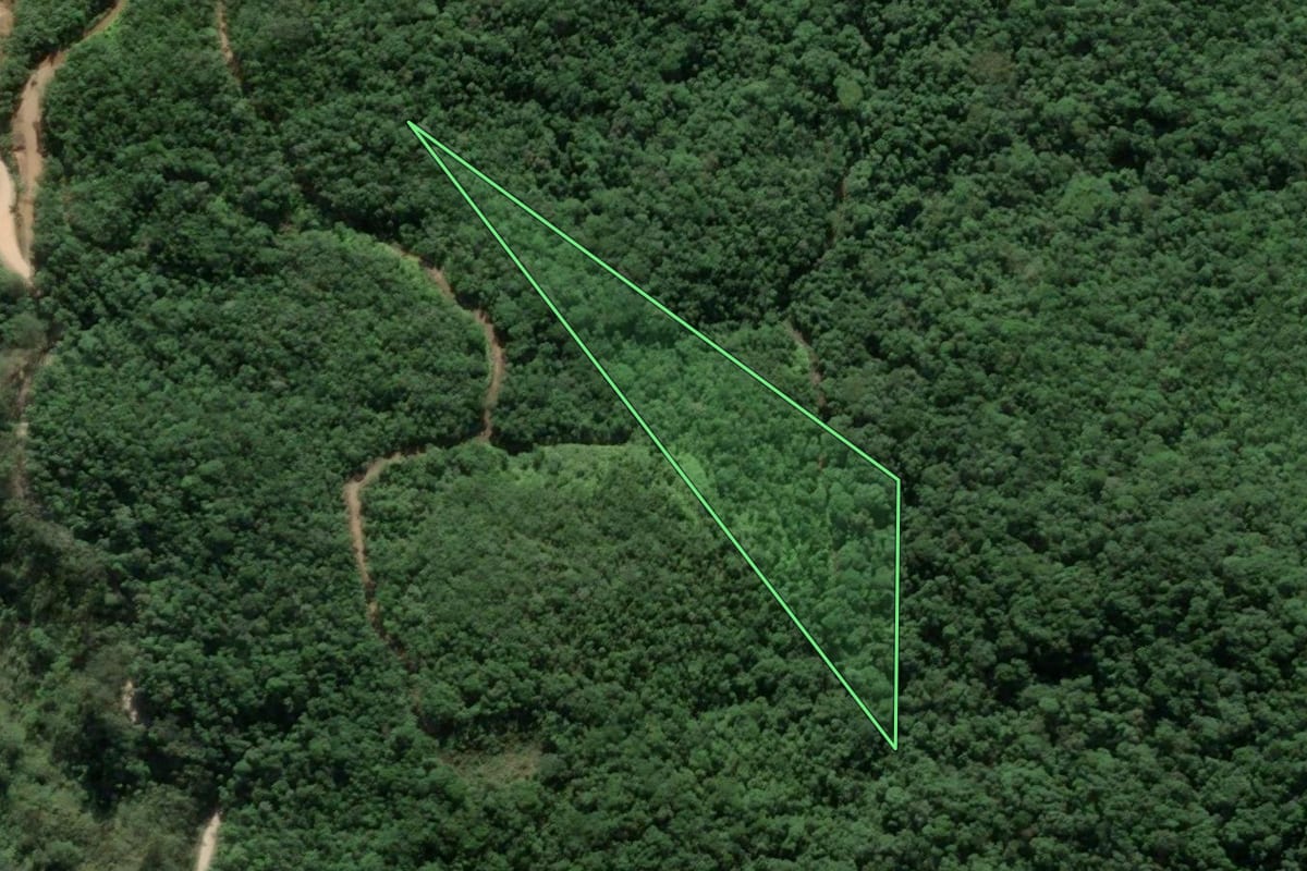 Imagem de satélite do imóvel rural em Antônio Carlos (SC), com o contorno declarado no CAR desenhado por cima.