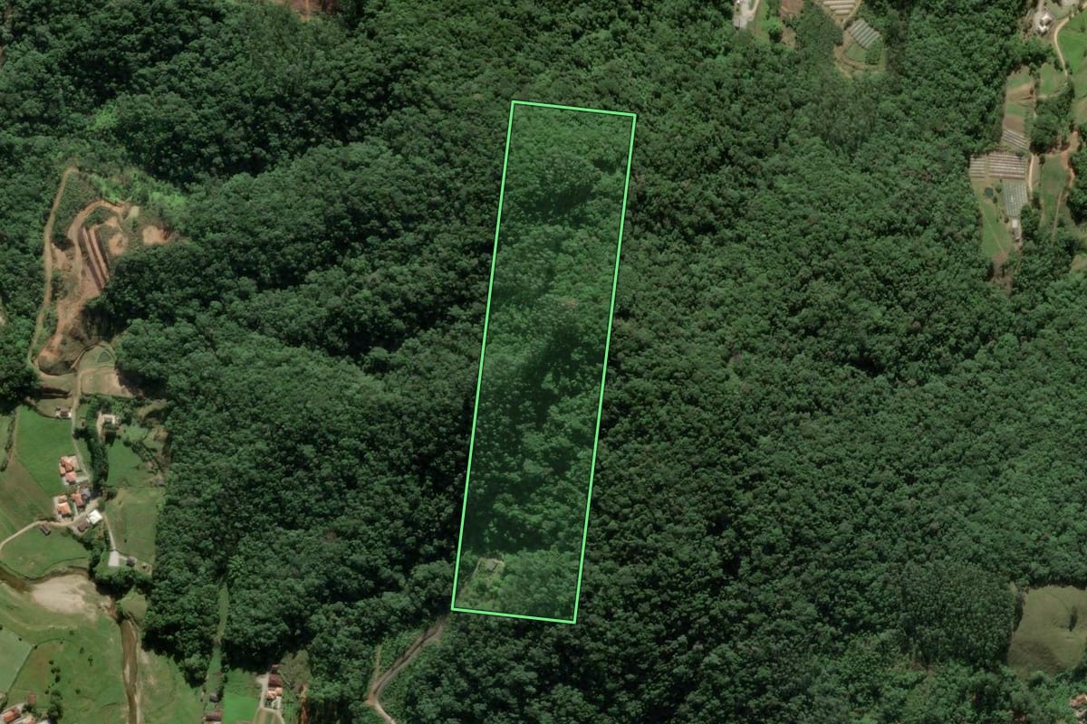 Imagem de satélite do imóvel rural em Antônio Carlos (SC), com o contorno declarado no CAR desenhado por cima.