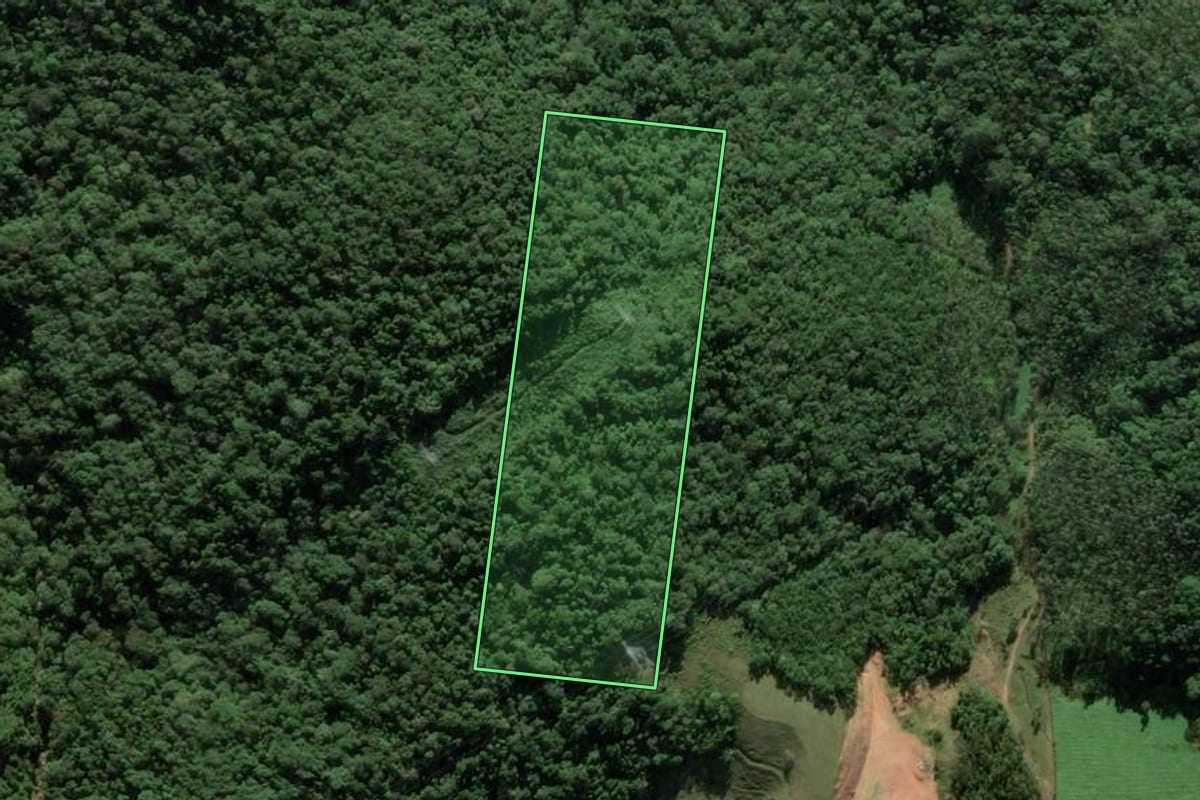 Imagem de satélite do imóvel rural em Antônio Carlos (SC), com o contorno declarado no CAR desenhado por cima.