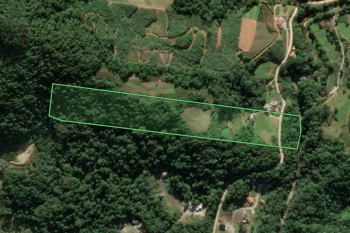 Imagem de satélite do imóvel rural em Antônio Carlos (SC), com o contorno declarado no CAR desenhado por cima.