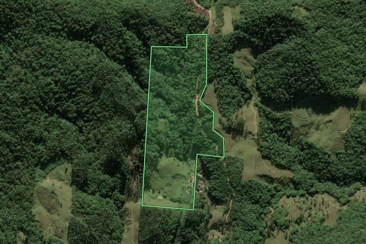 Imagem de satélite do imóvel rural em Antônio Carlos (SC), com o contorno declarado no CAR desenhado por cima.
