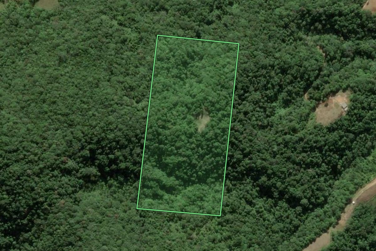 Imagem de satélite do imóvel rural em Antônio Carlos (SC), com o contorno declarado no CAR desenhado por cima.