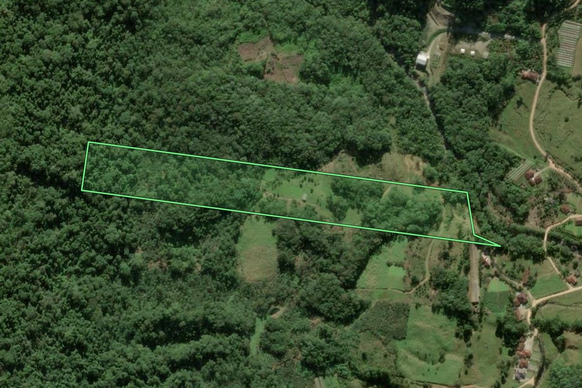 Imagem de satélite do imóvel rural em Antônio Carlos (SC), com o contorno declarado no CAR desenhado por cima.