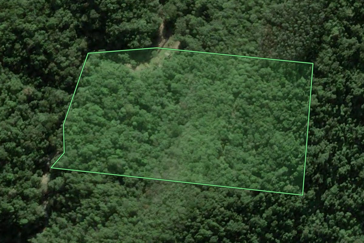 Imagem de satélite do imóvel rural em Antônio Carlos (SC), com o contorno declarado no CAR desenhado por cima.