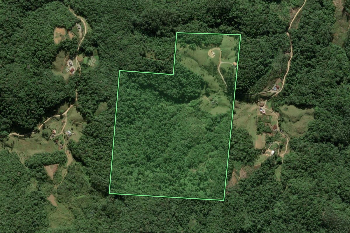 Imagem de satélite do imóvel rural em Antônio Carlos (SC), com o contorno declarado no CAR desenhado por cima.