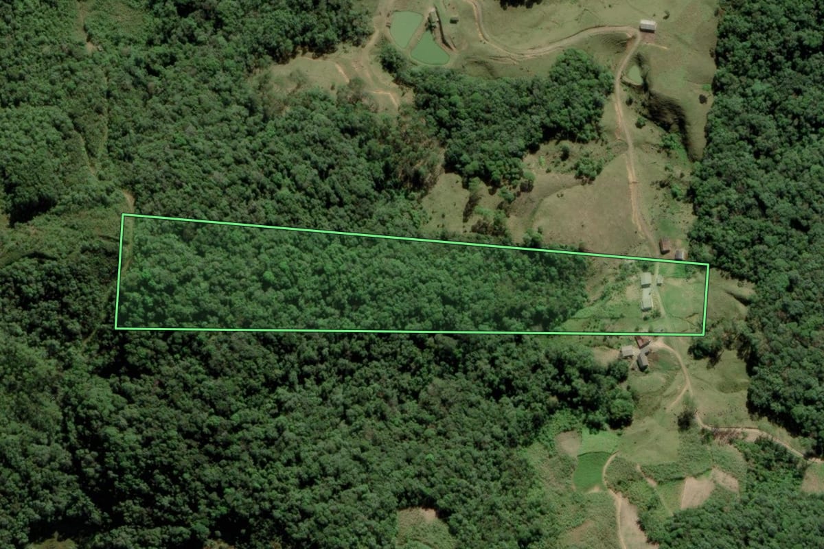 Imagem de satélite do imóvel rural em Antônio Carlos (SC), com o contorno declarado no CAR desenhado por cima.