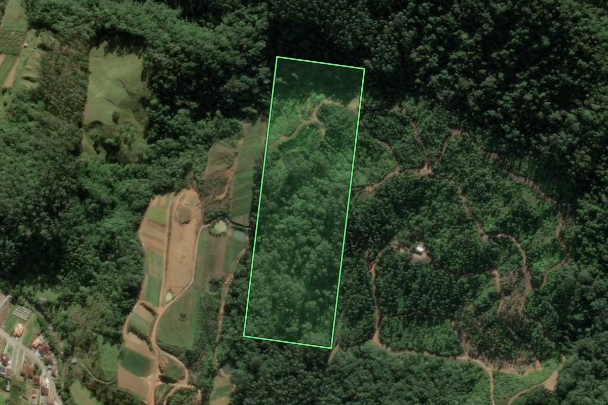 Imagem de satélite do imóvel rural em Antônio Carlos (SC), com o contorno declarado no CAR desenhado por cima.