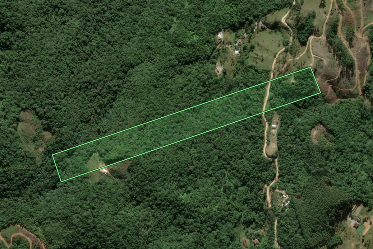Imagem de satélite do imóvel rural em Antônio Carlos (SC), com o contorno declarado no CAR desenhado por cima.