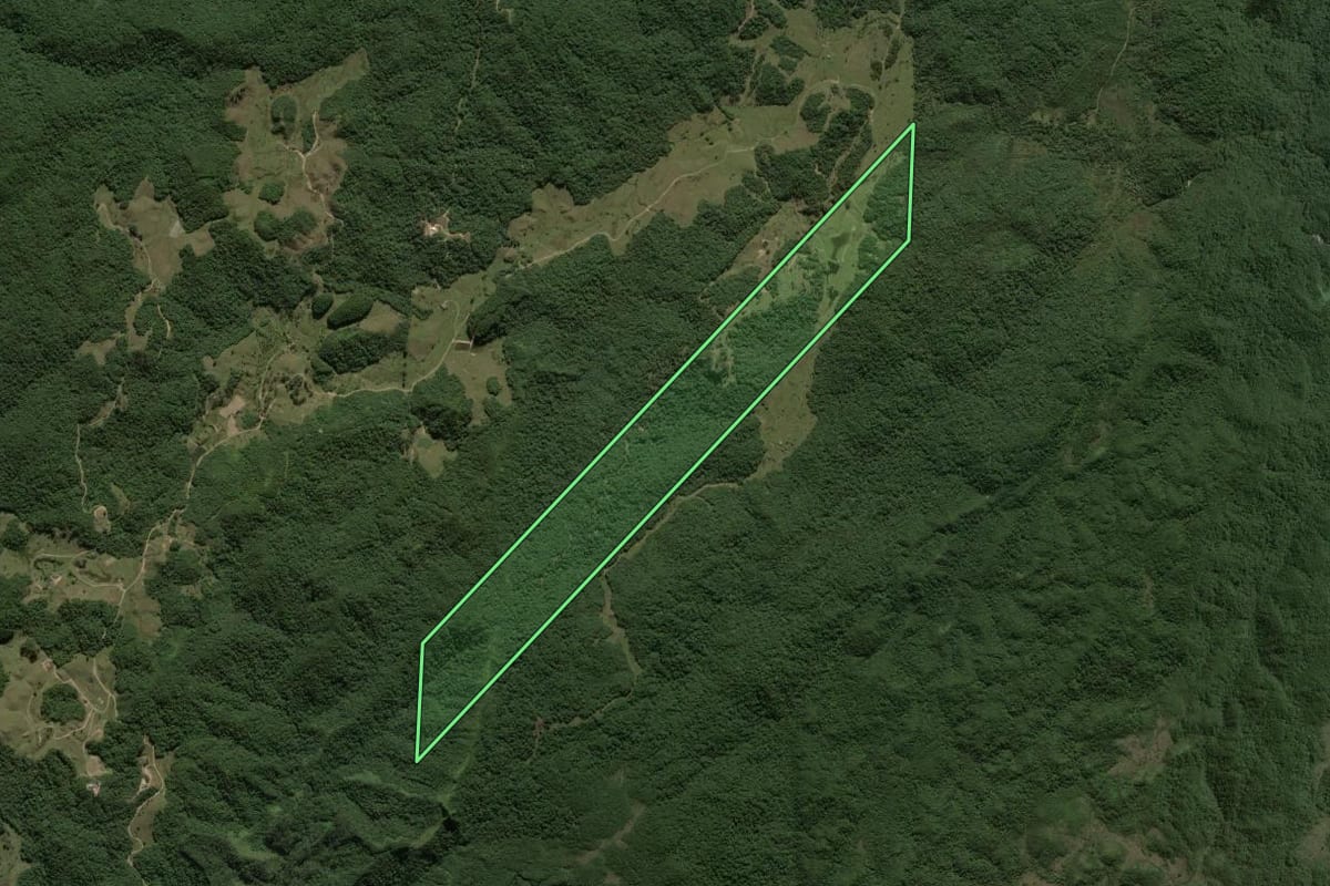 Imagem de satélite do imóvel rural em Antônio Carlos (SC), com o contorno declarado no CAR desenhado por cima.