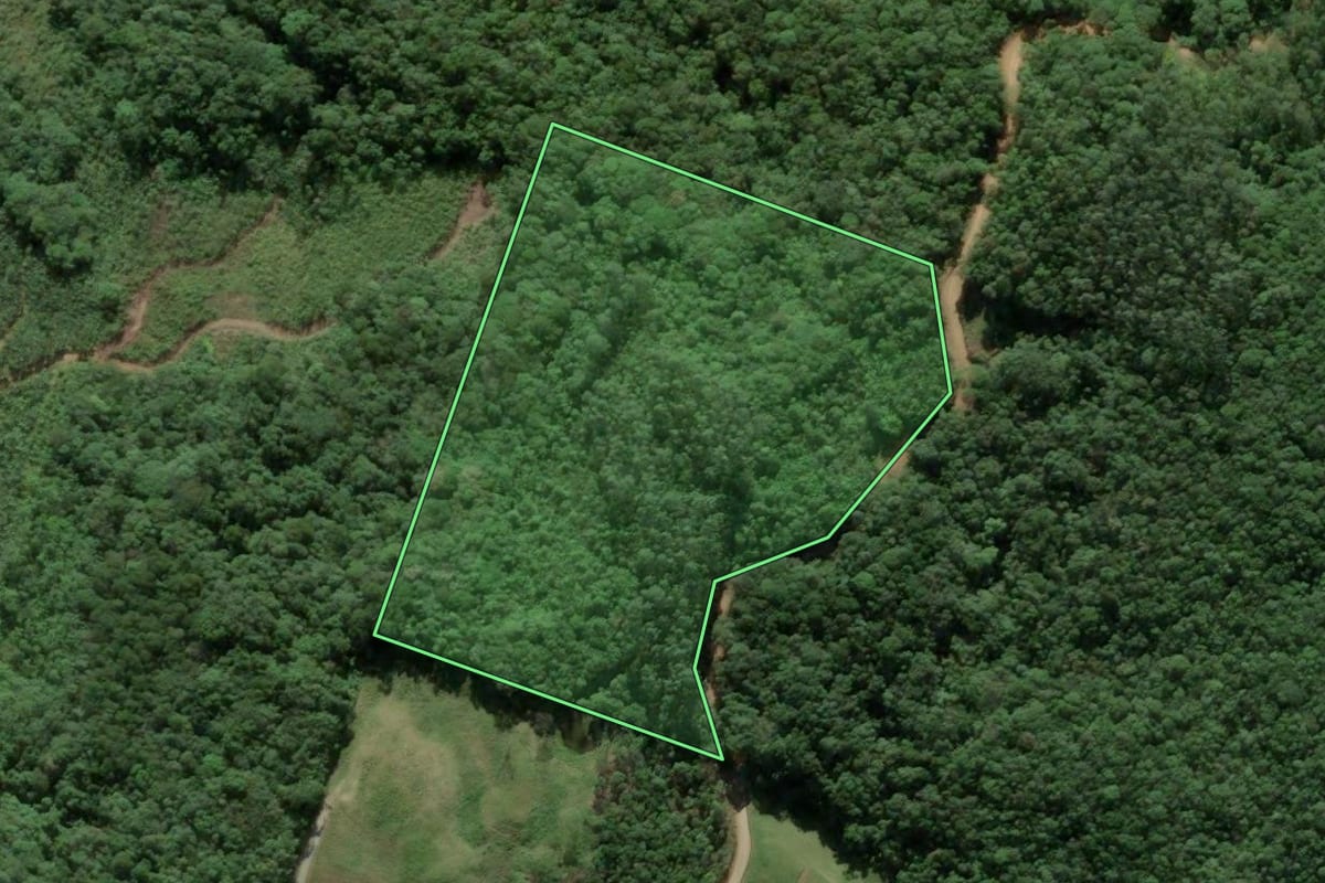 Imagem de satélite do imóvel rural em Antônio Carlos (SC), com o contorno declarado no CAR desenhado por cima.
