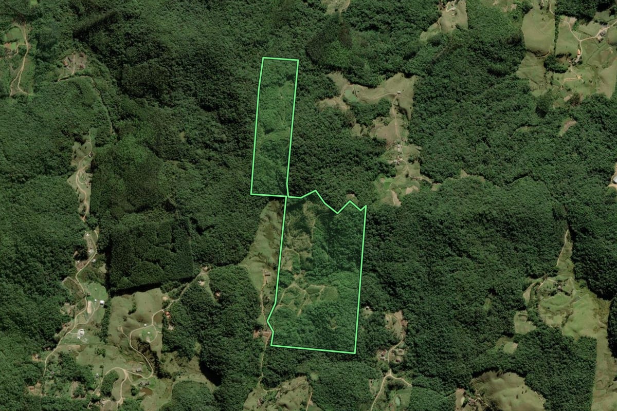 Imagem de satélite do imóvel rural em Antônio Carlos (SC), com o contorno declarado no CAR desenhado por cima.