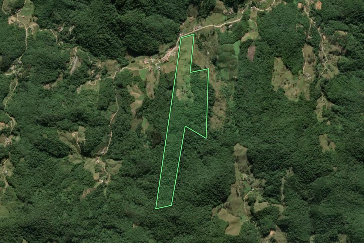 Imagem de satélite do imóvel rural em Antônio Carlos (SC), com o contorno declarado no CAR desenhado por cima.