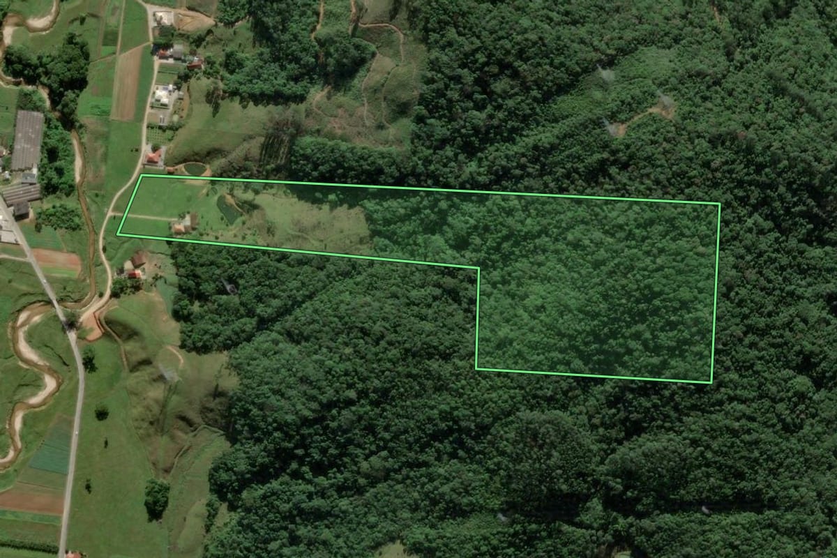 Imagem de satélite do imóvel rural em Antônio Carlos (SC), com o contorno declarado no CAR desenhado por cima.