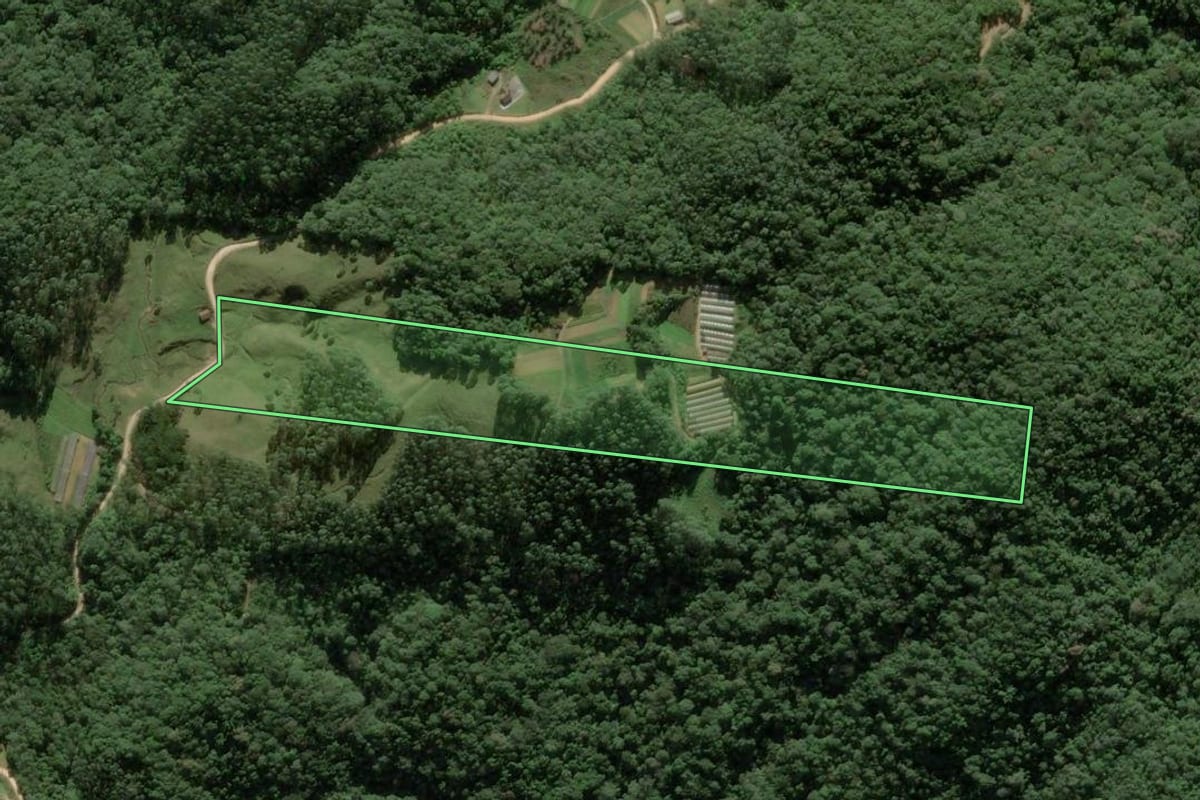 Imagem de satélite do imóvel rural em Antônio Carlos (SC), com o contorno declarado no CAR desenhado por cima.
