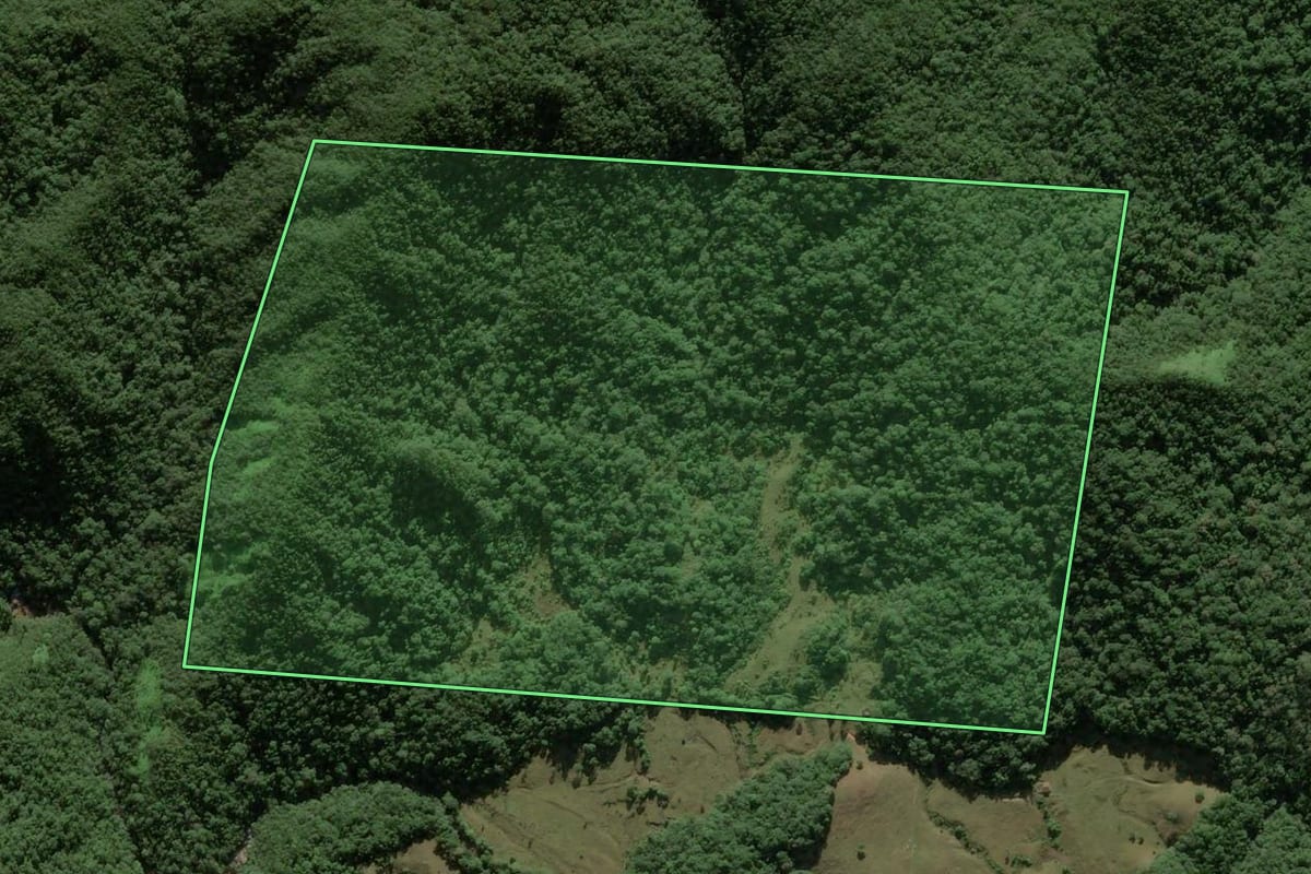 Imagem de satélite do imóvel rural em Antônio Carlos (SC), com o contorno declarado no CAR desenhado por cima.
