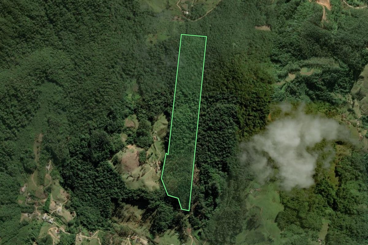 Imagem de satélite do imóvel rural em Antônio Carlos (SC), com o contorno declarado no CAR desenhado por cima.