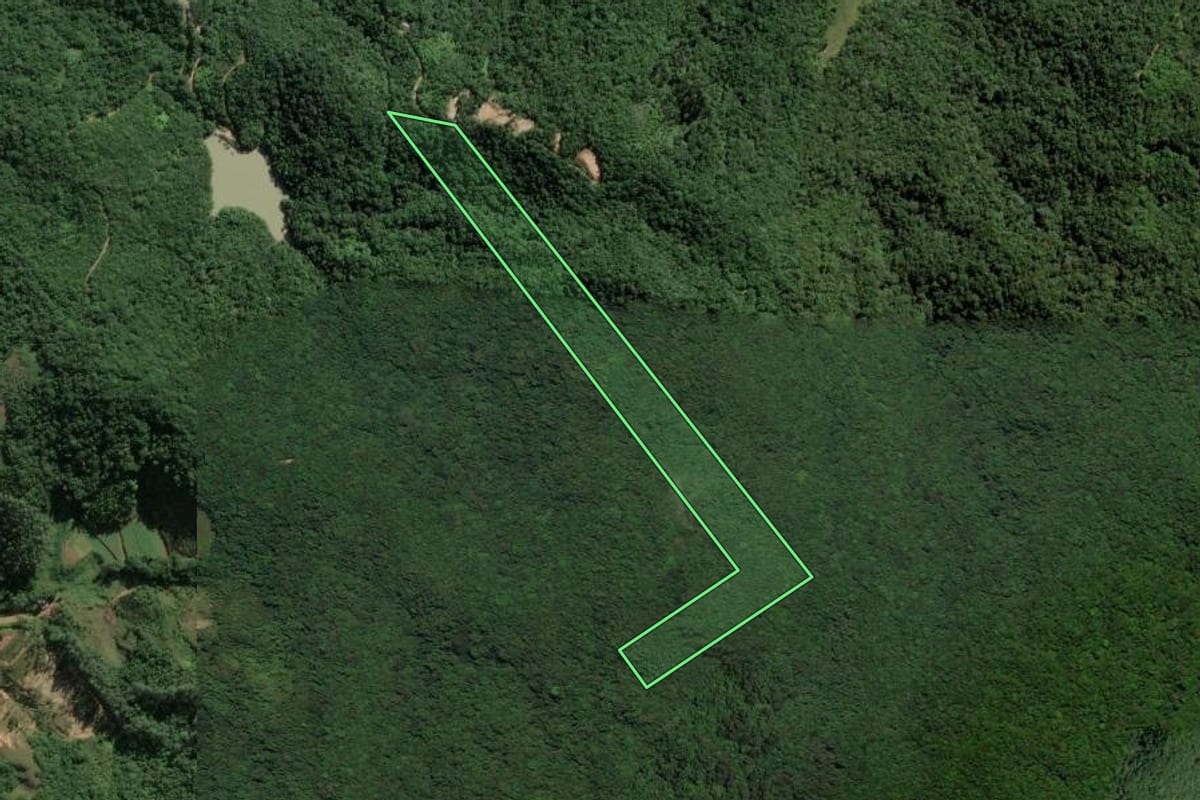 Imagem de satélite do imóvel rural em Antônio Carlos (SC), com o contorno declarado no CAR desenhado por cima.