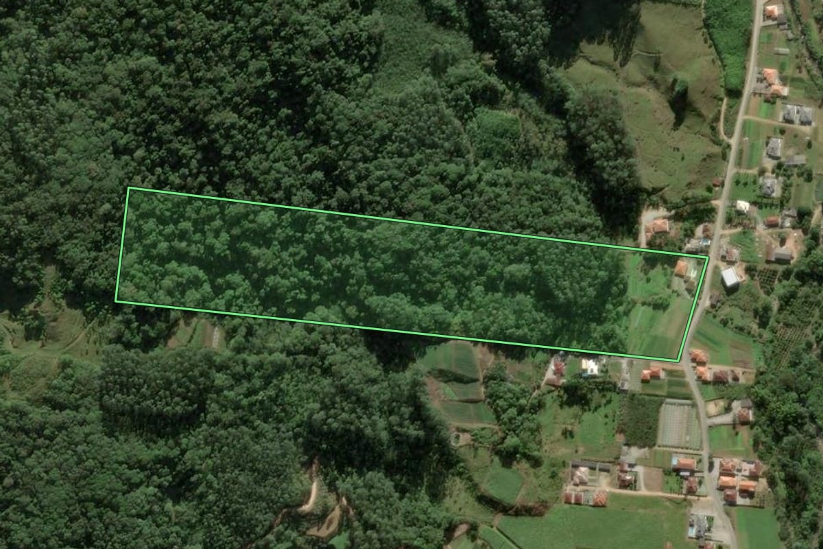 Imagem de satélite do imóvel rural em Antônio Carlos (SC), com o contorno declarado no CAR desenhado por cima.