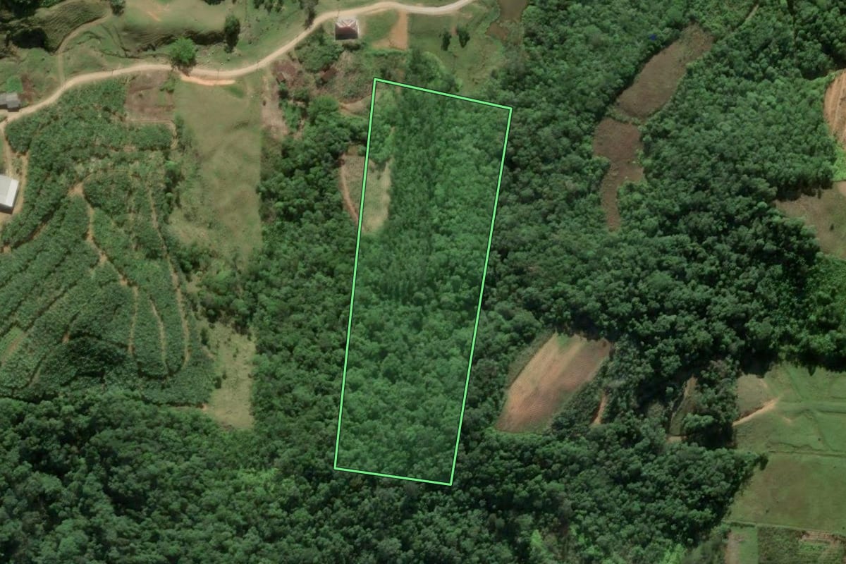 Imagem de satélite do imóvel rural em Antônio Carlos (SC), com o contorno declarado no CAR desenhado por cima.