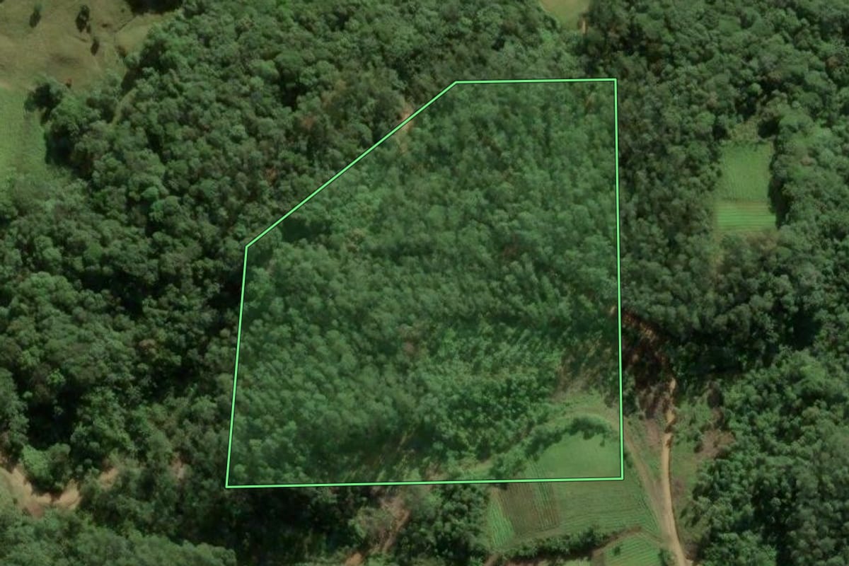 Imagem de satélite do imóvel rural em Antônio Carlos (SC), com o contorno declarado no CAR desenhado por cima.