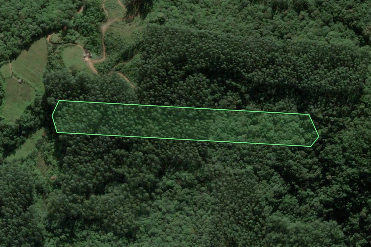 Imagem de satélite do imóvel rural em Antônio Carlos (SC), com o contorno declarado no CAR desenhado por cima.