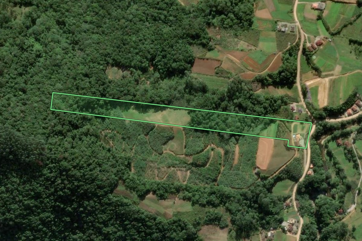 Imagem de satélite do imóvel rural em Antônio Carlos (SC), com o contorno declarado no CAR desenhado por cima.