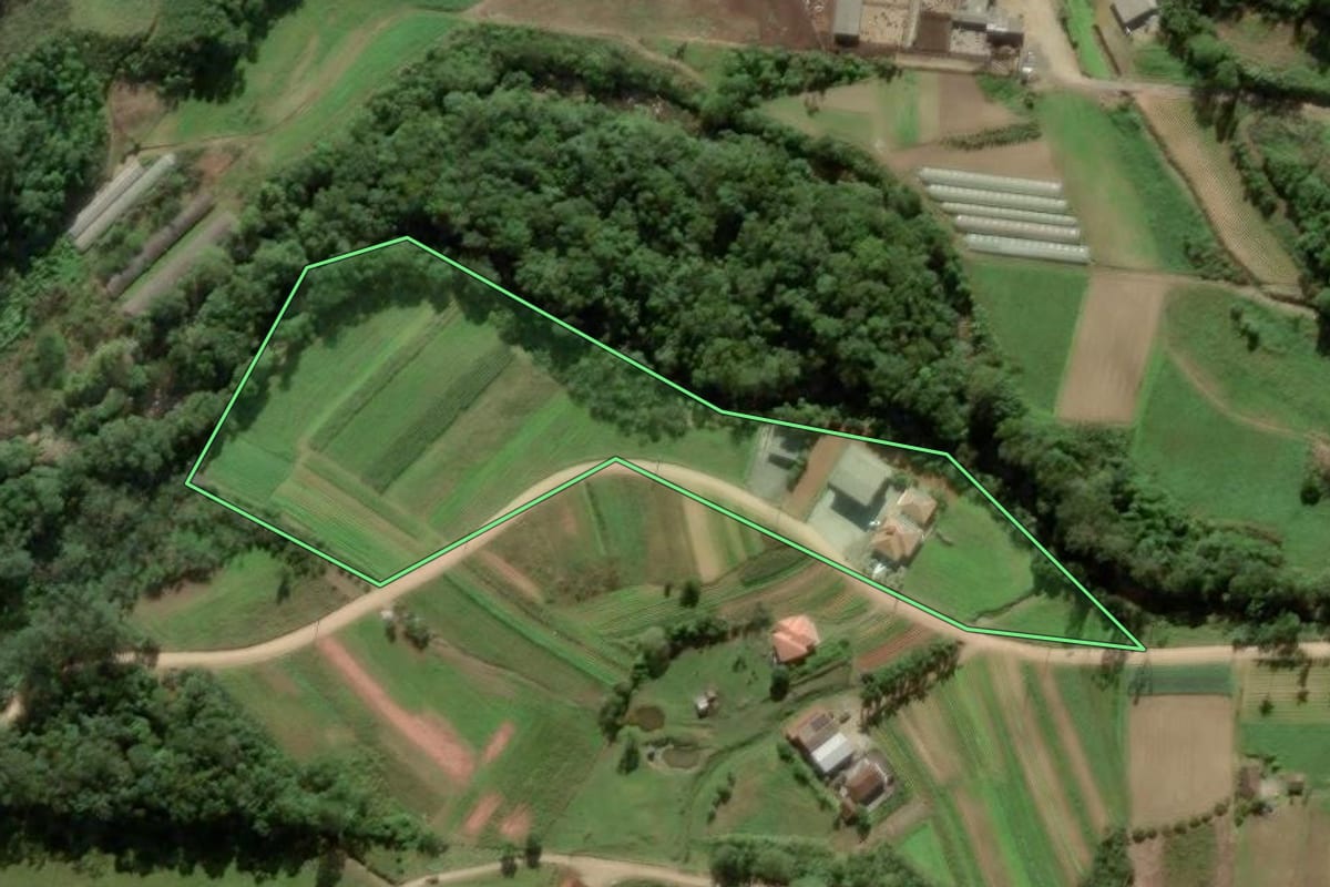 Imagem de satélite do imóvel rural em Antônio Carlos (SC), com o contorno declarado no CAR desenhado por cima.