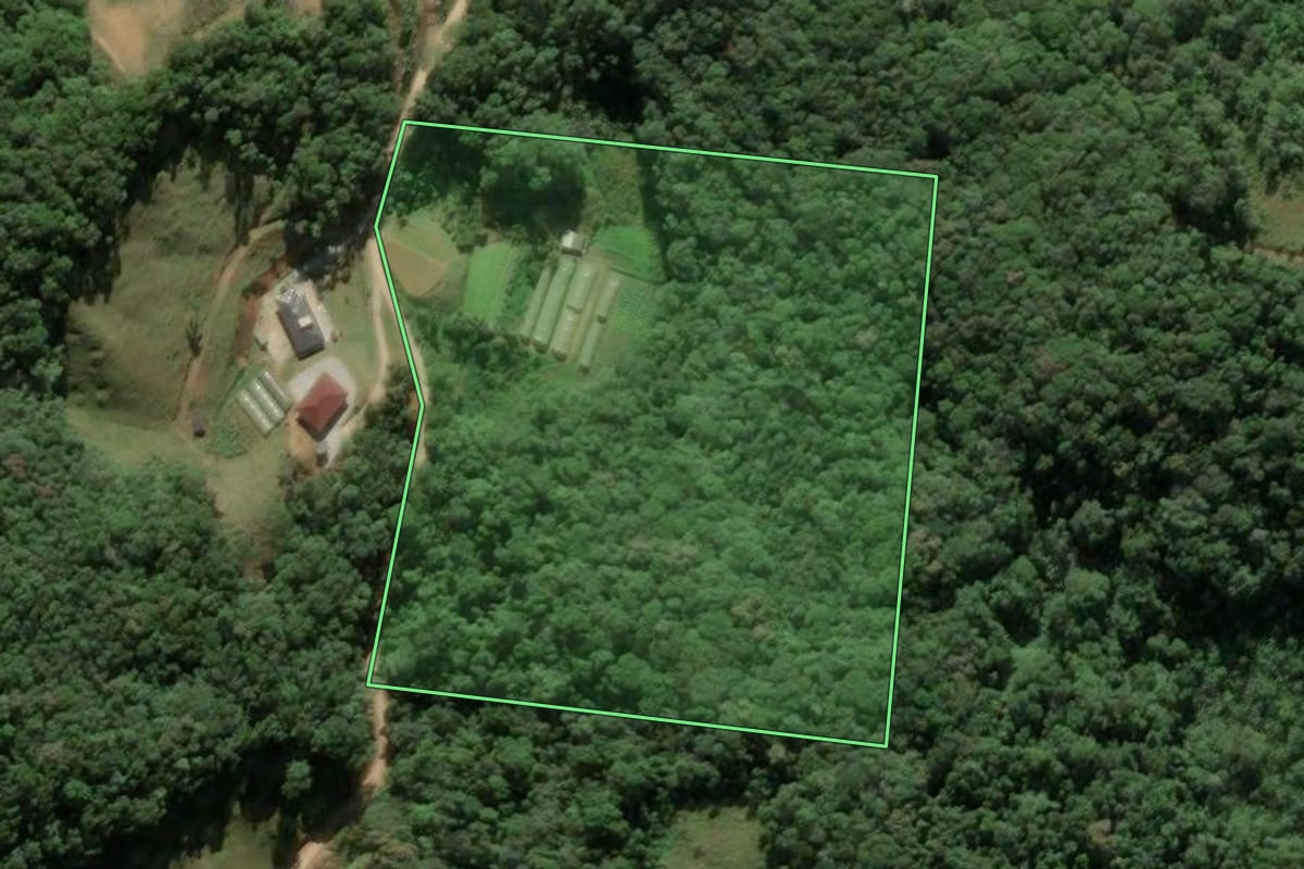 Imagem de satélite do imóvel rural em Antônio Carlos (SC), com o contorno declarado no CAR desenhado por cima.