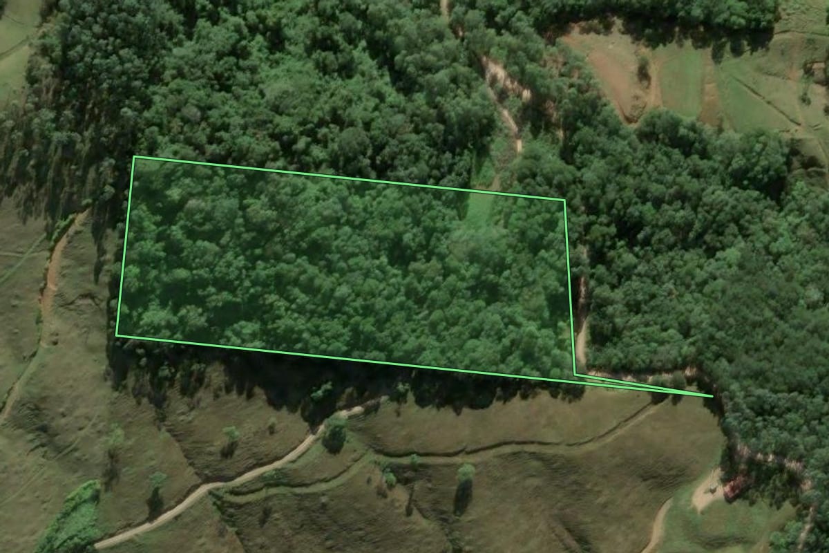 Imagem de satélite do imóvel rural em Antônio Carlos (SC), com o contorno declarado no CAR desenhado por cima.