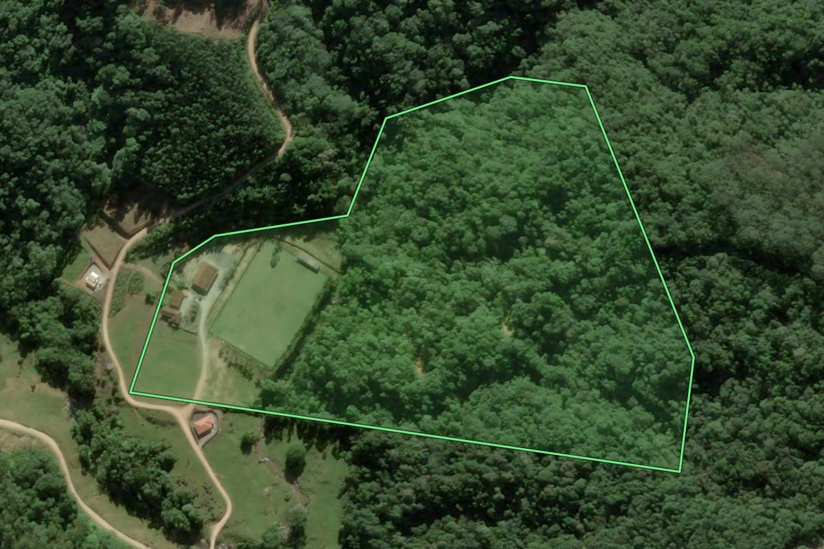 Imagem de satélite do imóvel rural em Antônio Carlos (SC), com o contorno declarado no CAR desenhado por cima.