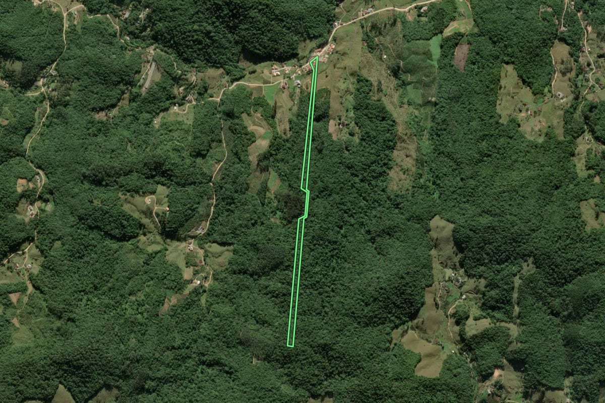 Imagem de satélite do imóvel rural em Antônio Carlos (SC), com o contorno declarado no CAR desenhado por cima.