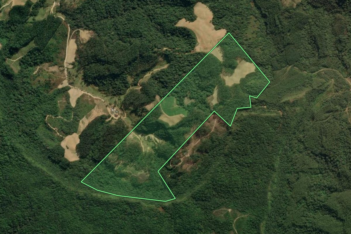 Imagem de satélite do imóvel rural em Apiúna (SC), com o contorno declarado no CAR desenhado por cima.