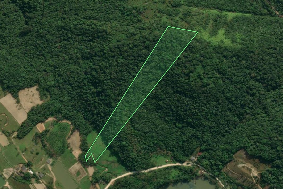 Imagem de satélite do imóvel rural em Apiúna (SC), com o contorno declarado no CAR desenhado por cima.