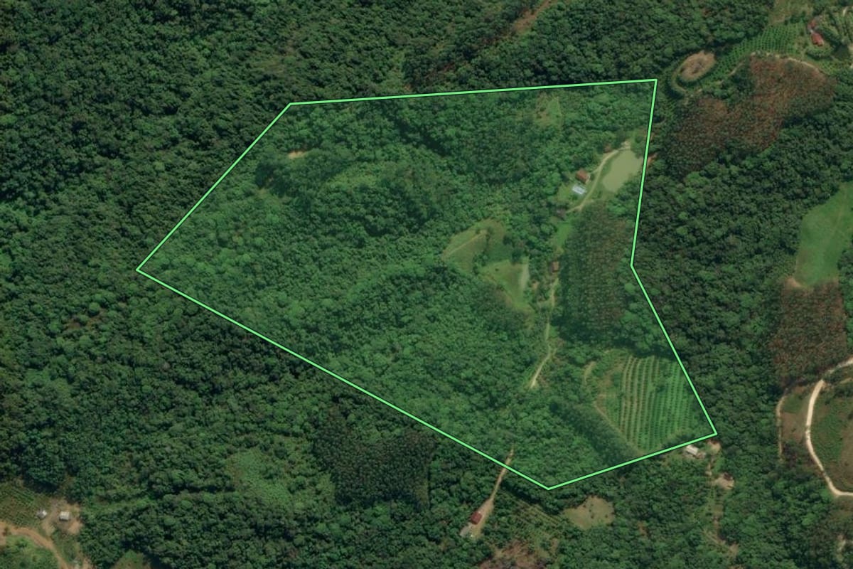 Imagem de satélite do imóvel rural em Apiúna (SC), com o contorno declarado no CAR desenhado por cima.