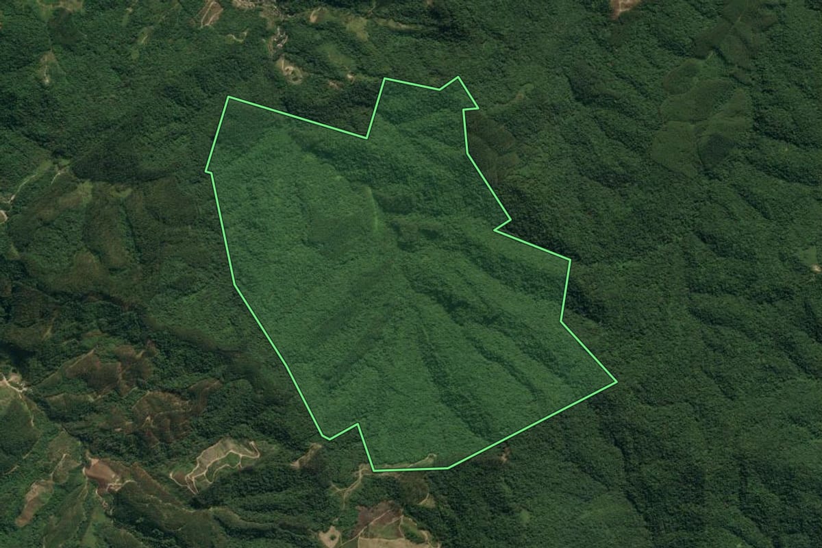 Imagem de satélite do imóvel rural em Apiúna (SC), com o contorno declarado no CAR desenhado por cima.