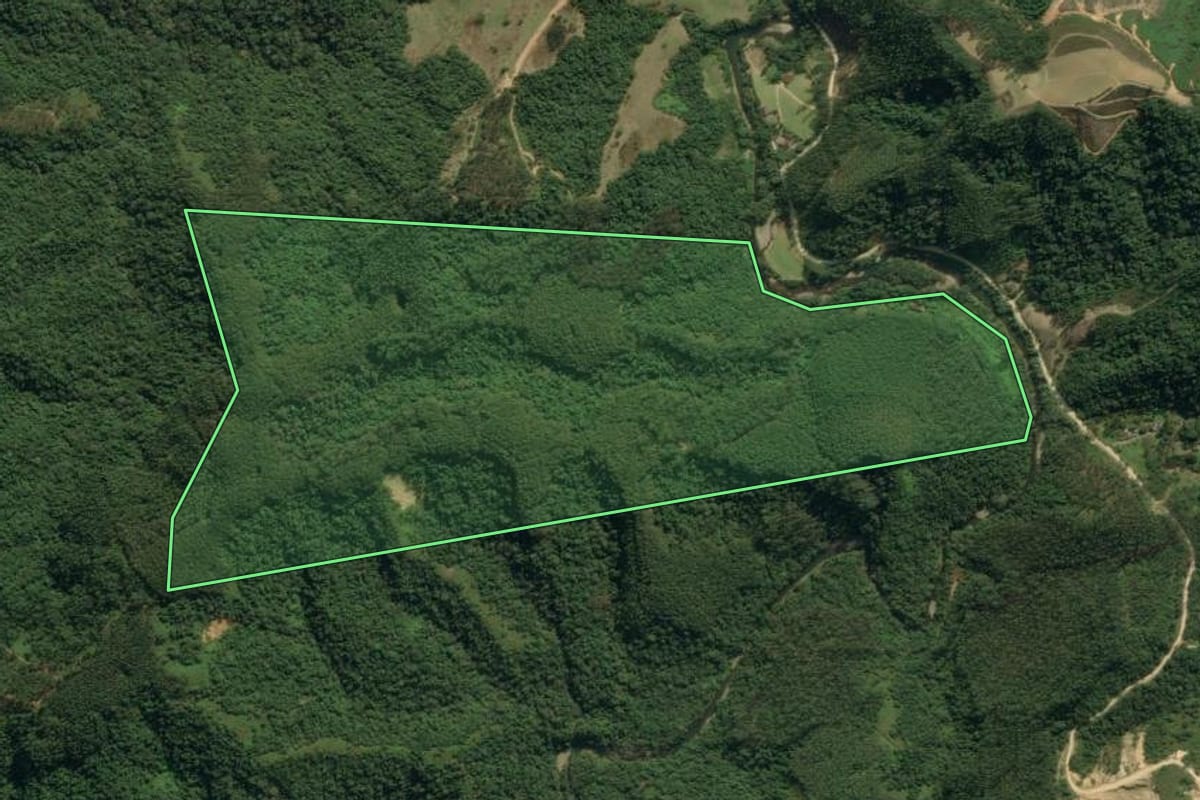 Imagem de satélite do imóvel rural em Apiúna (SC), com o contorno declarado no CAR desenhado por cima.