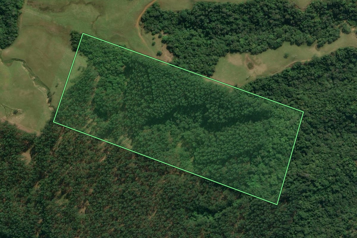 Imagem de satélite do imóvel rural em Apiúna (SC), com o contorno declarado no CAR desenhado por cima.