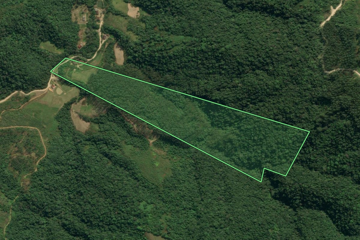 Imagem de satélite do imóvel rural em Apiúna (SC), com o contorno declarado no CAR desenhado por cima.