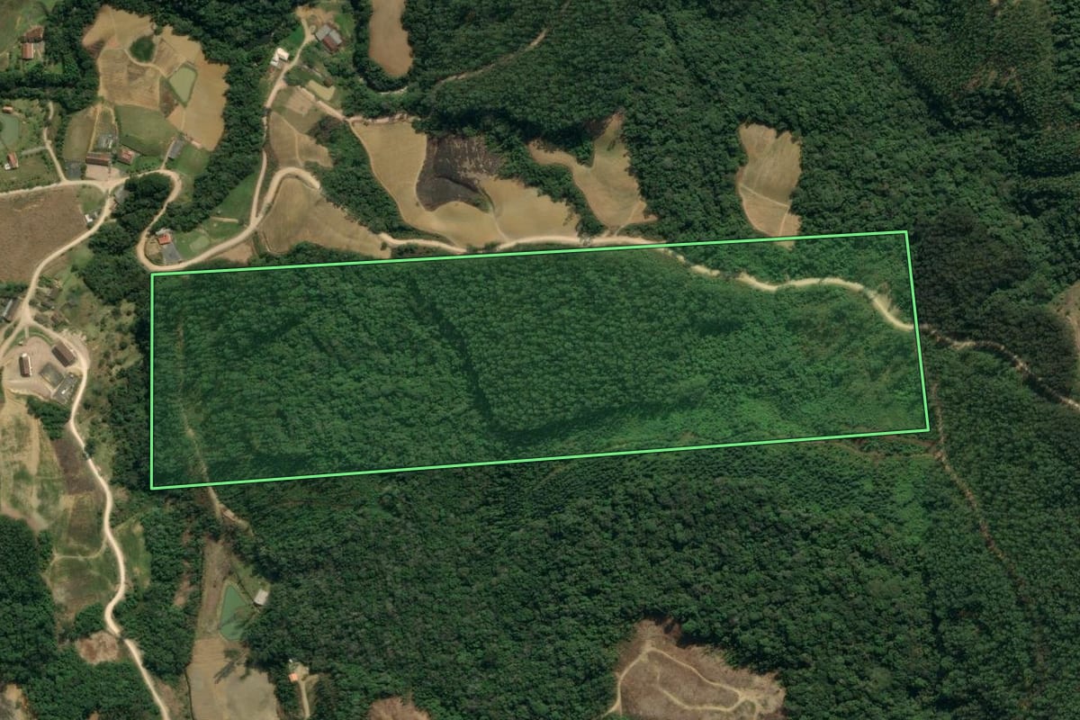 Imagem de satélite do imóvel rural em Apiúna (SC), com o contorno declarado no CAR desenhado por cima.
